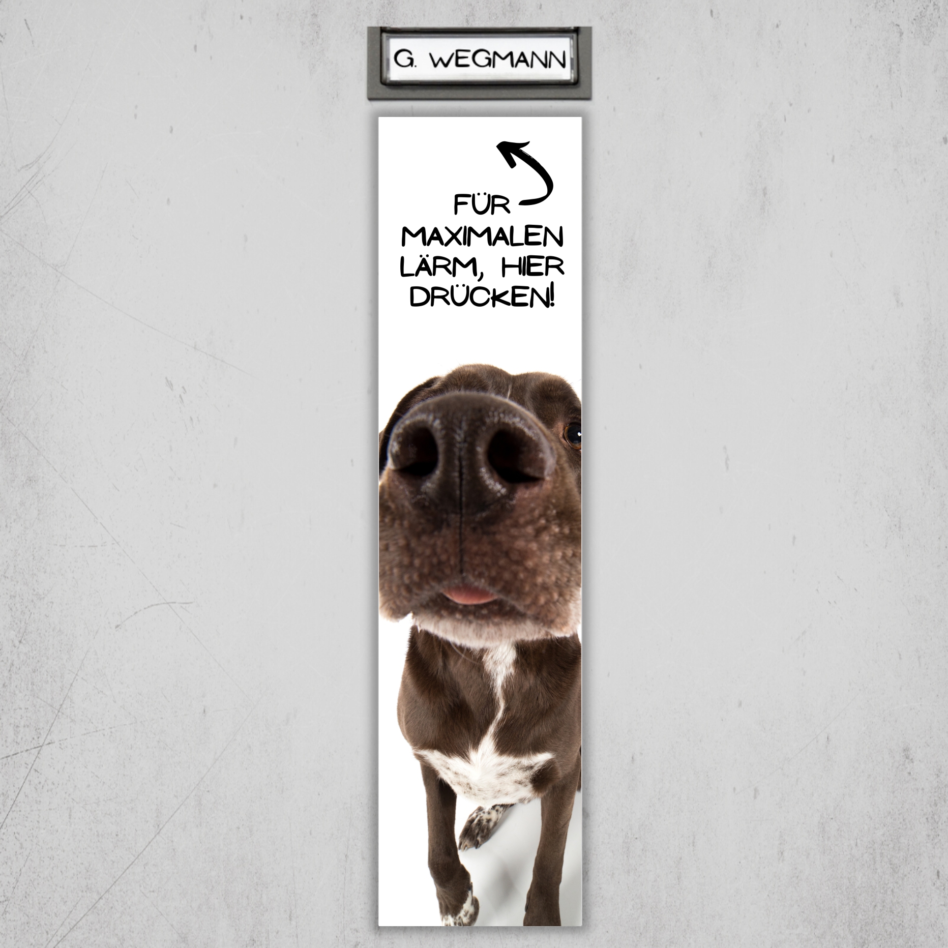 Hund Nase Mischling Schild Klingel Lärm Hund Spruch Türschild Hundeschild Fun cool Dog