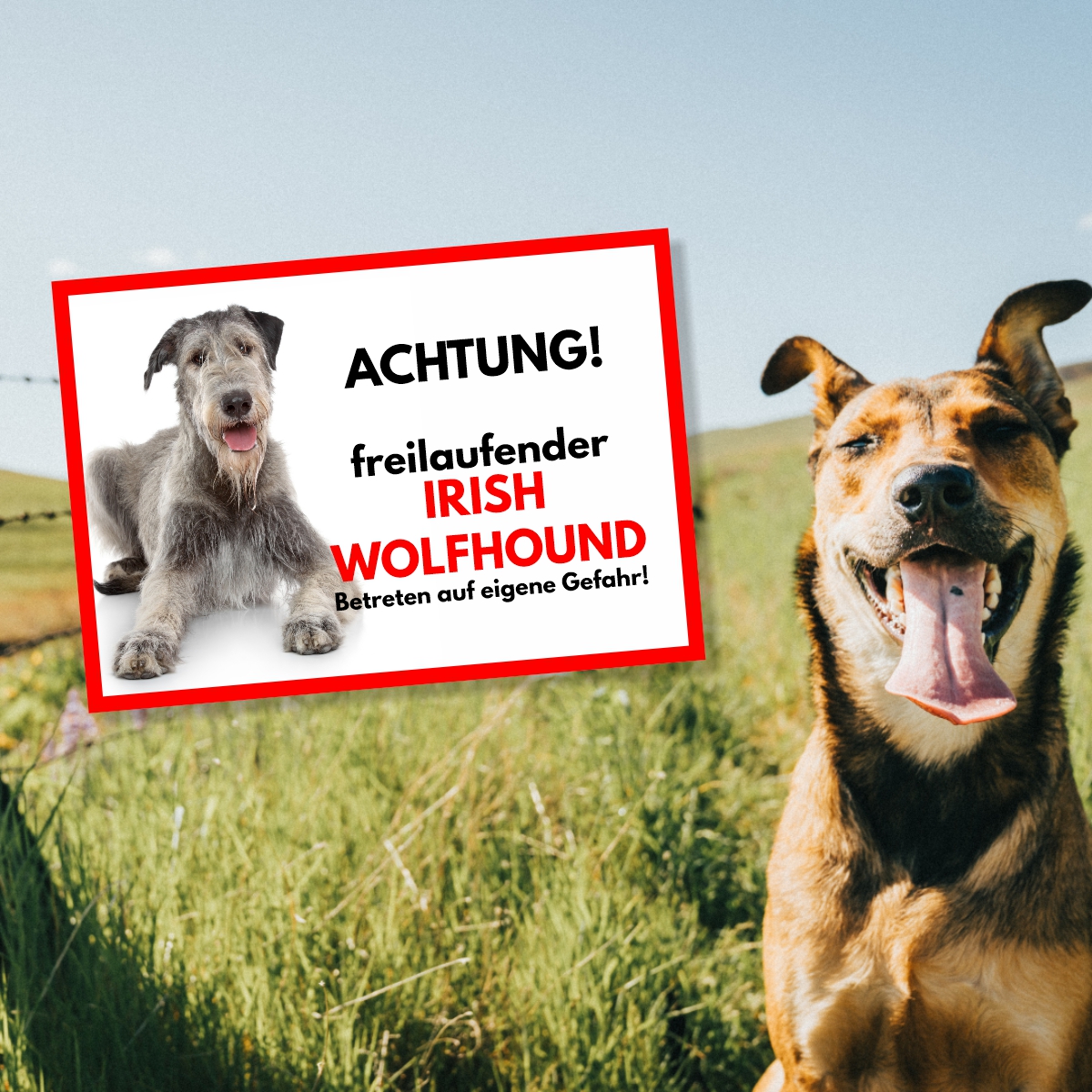 Irish Wolfhound Freilaufender Hund Dog Schild Spruch Türschild Hundeschild Warnschild