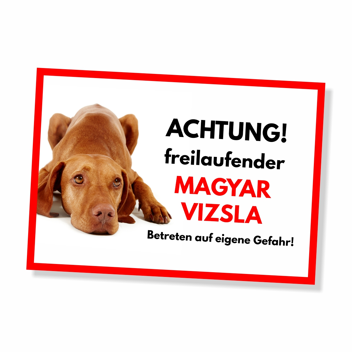 Magyar Vizsla Freilaufender Hund Dog Schild Spruch Türschild Hundeschild Warnschild