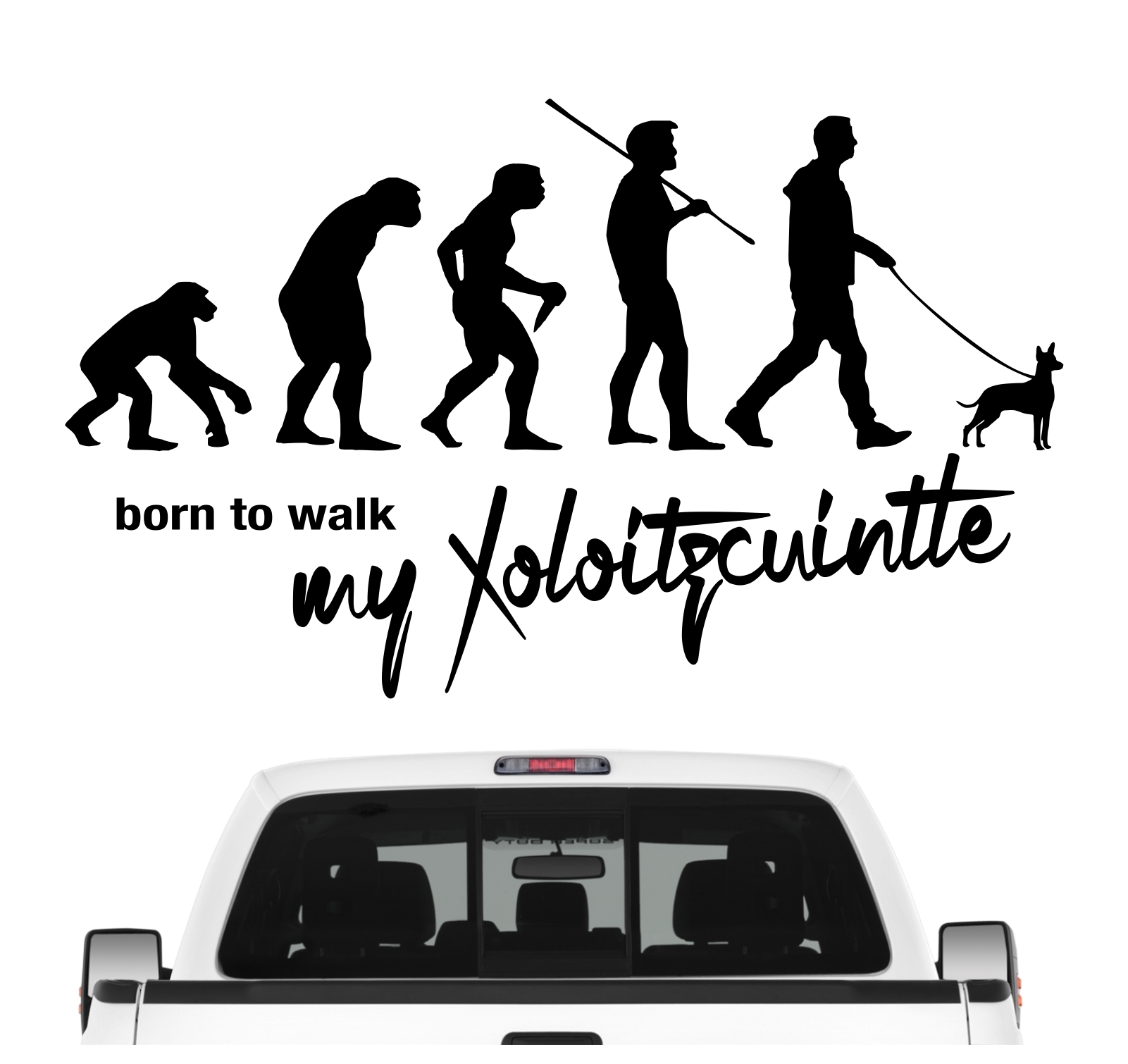 Xoloitzcuintle Xolo Xolito Mexiko Nackthund  Evolution Born to Walk Hunde Aufkleber Sticker Autoaufkleber Wandtattoo Tattoo