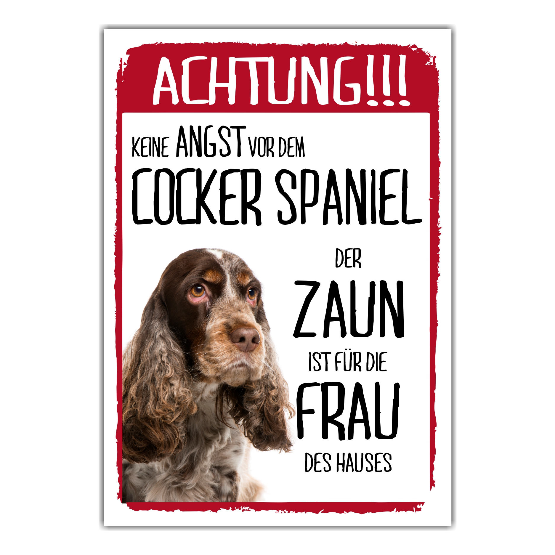 Cocker Spaniel Bunt Dog Schild Achtung Zaun Frau Spruch Türschild Hundeschild Warnschild Fun