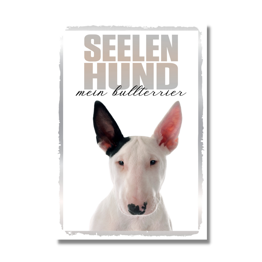 Bullterrier 2 Seelenhund Dog Schild Spruch Türschild Hundeschild Warnschild Soulmate