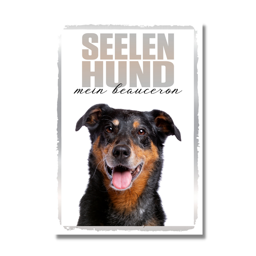Beauceron Seelenhund Dog Schild Spruch Türschild Hundeschild Warnschild Soulmate
