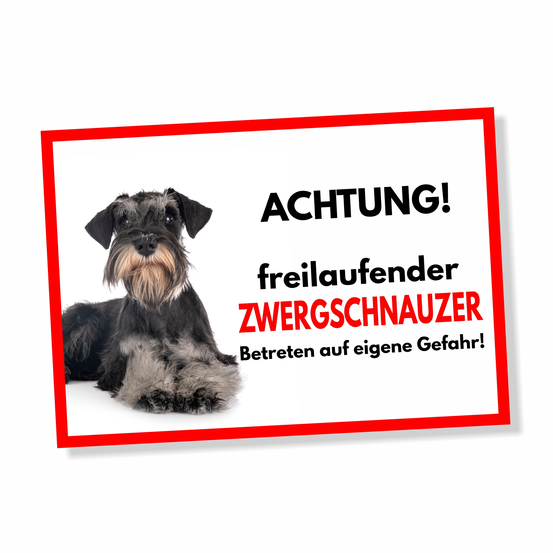 Zwergschnauzer Freilaufender Hund Dog Schild Spruch Türschild Hundeschild Warnschild