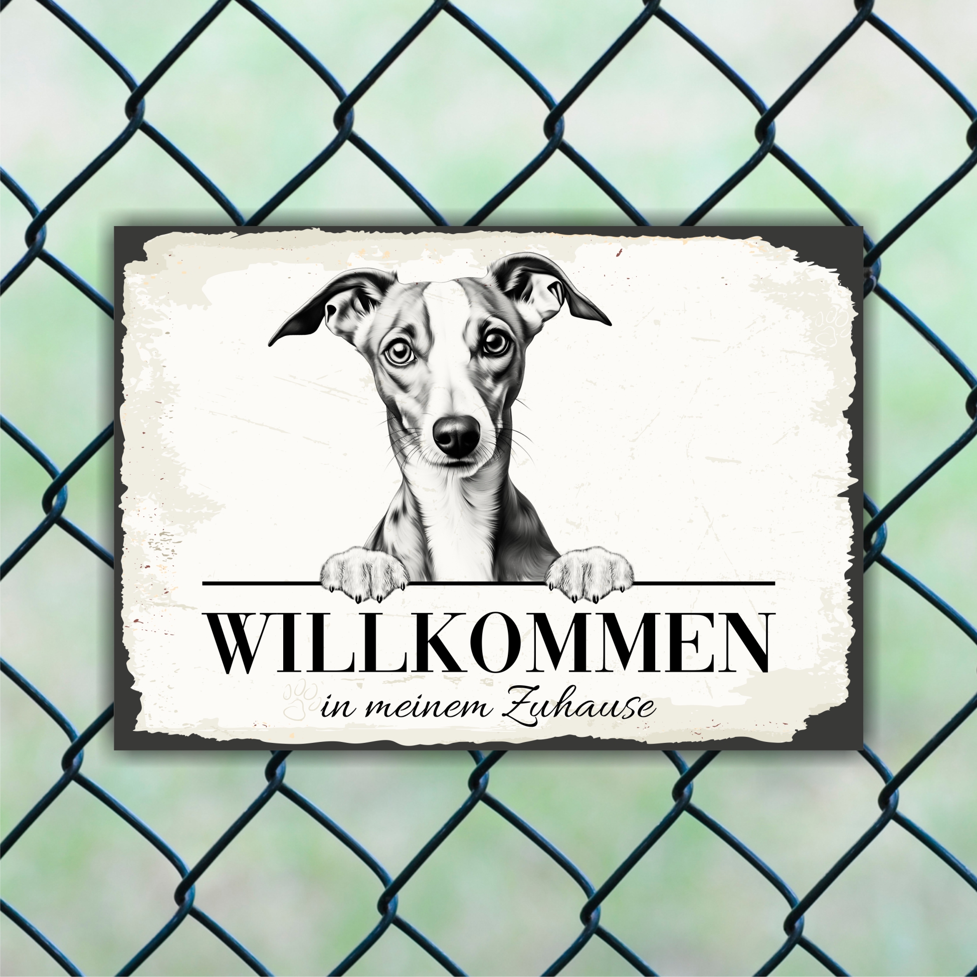 Hundeschild Willkommen Zuhause Whippet Windhund Schild