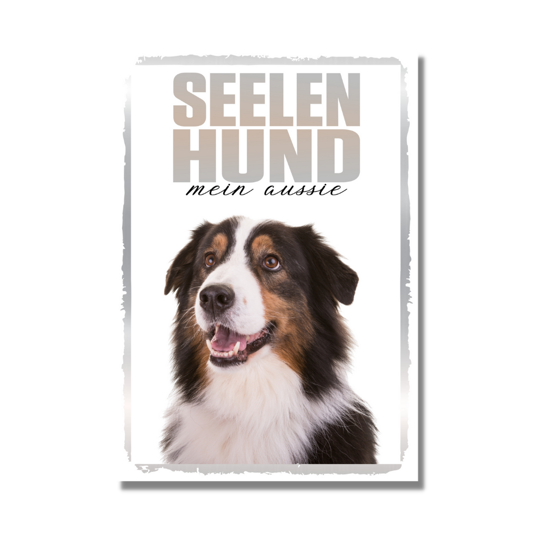 Australian Shepherd 3 Seelenhund Dog Schild Spruch Türschild Hundeschild Warnschild Soulmate