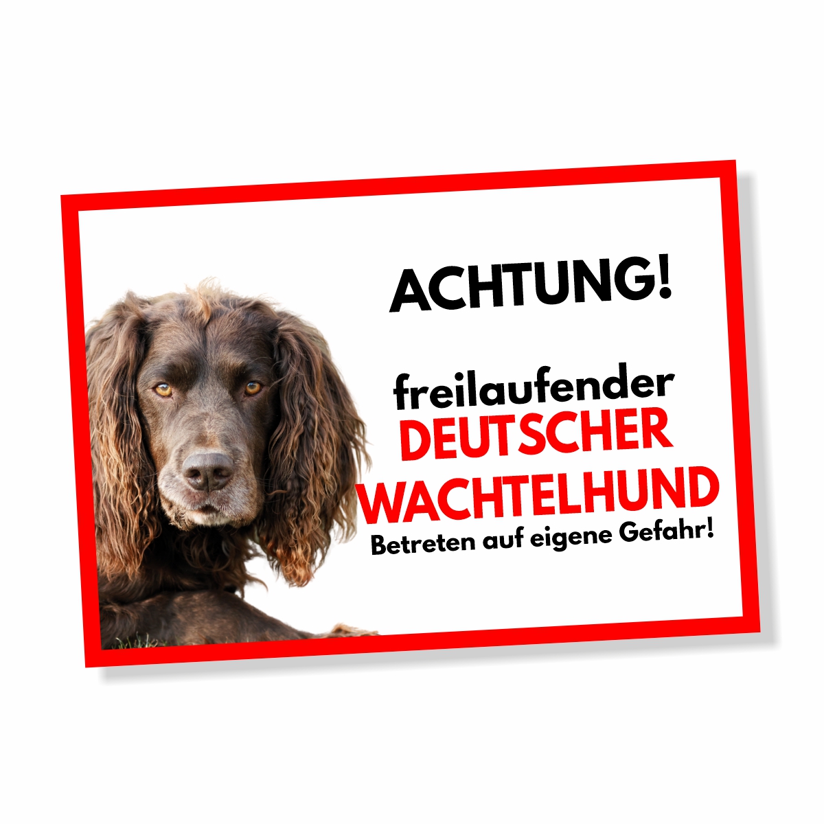 Deutscher Wachtelhund Freilaufender Hund Dog Schild Spruch Türschild Hundeschild Warnschild