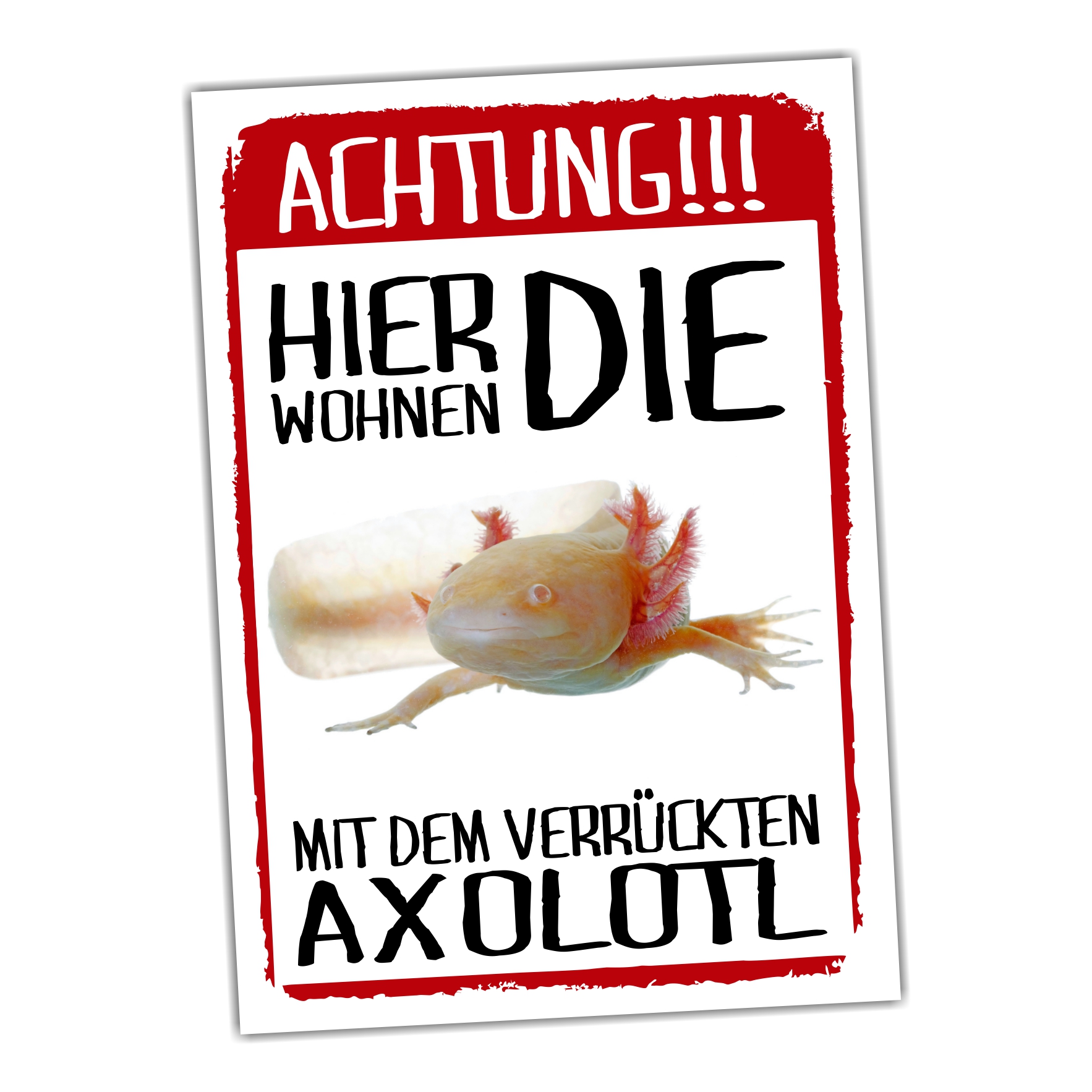Hier wohnen die ... mit dem Verrückten Axolotl Türschild Warnschild Spruch Schild happy Design by Siviwonder