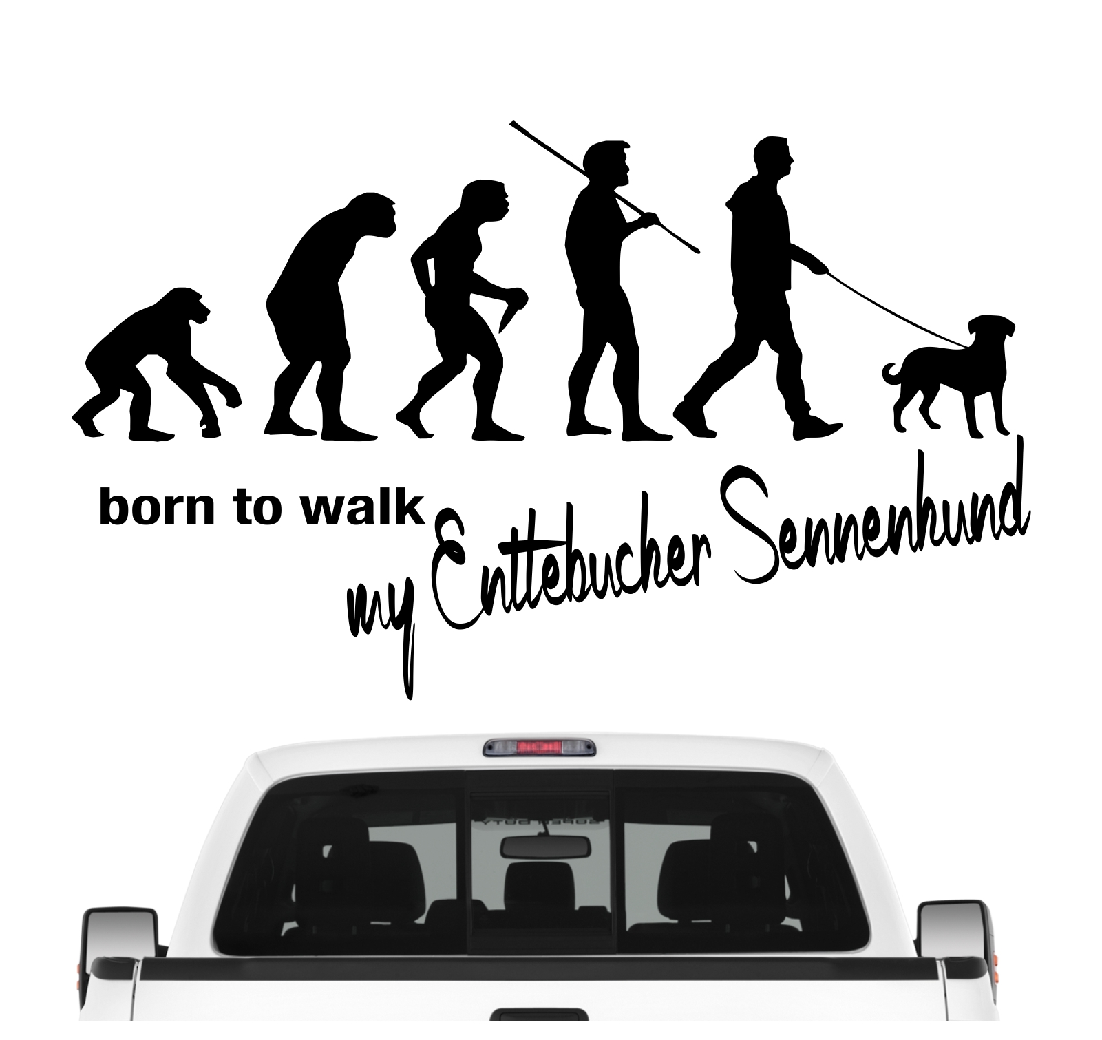 Entlebucher Sennenhund Sennen Schweiz Evolution Auto Aufkleber Hund Folie