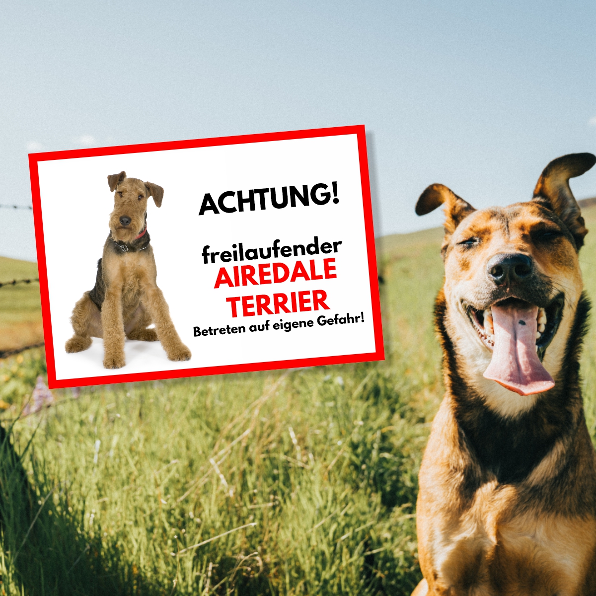Airedale Terrier Freilaufender Hund Dog Schild Spruch Türschild Hundeschild Warnschild