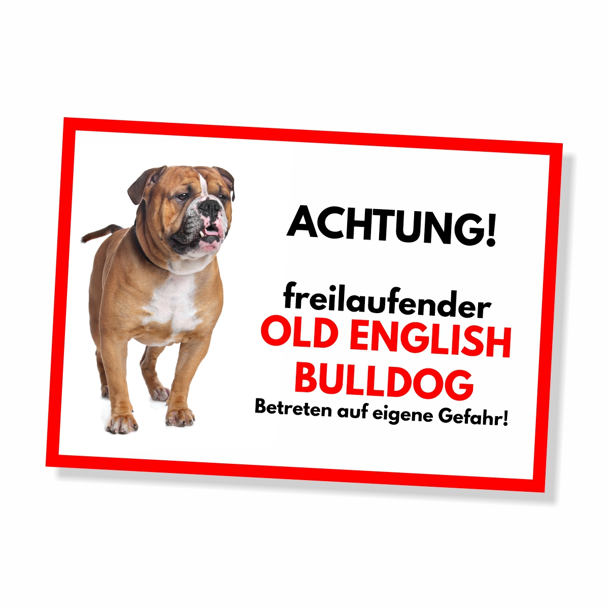 Old English Bulldog Freilaufender Hund Dog Schild Spruch Türschild Hundeschild Warnschild