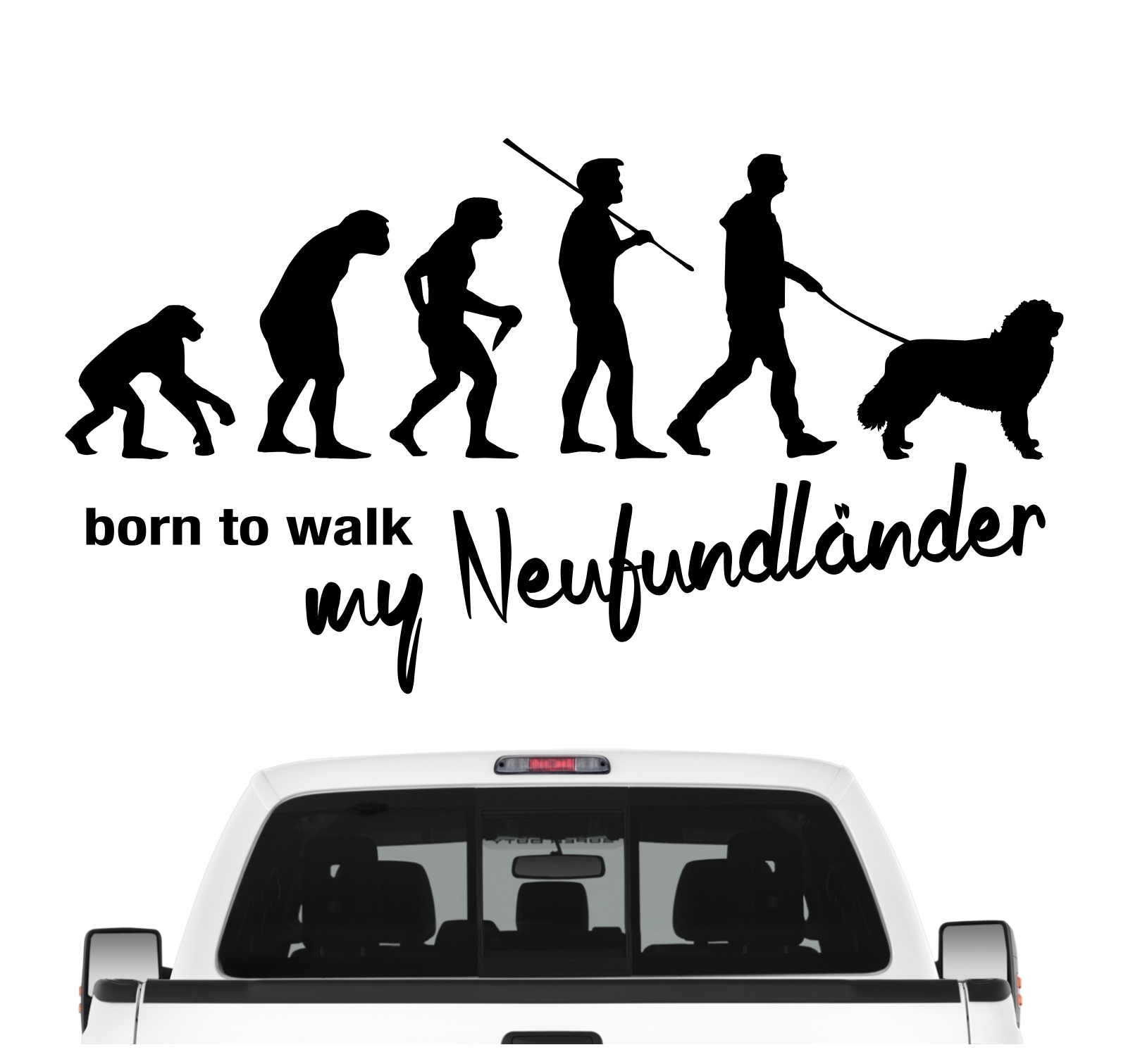 Neufundländer Neufi Newf  Newfie The Gentle Giant Evolution Born to Walk Hunde Aufkleber Sticker Autoaufkleber Wandtattoo Tattoo