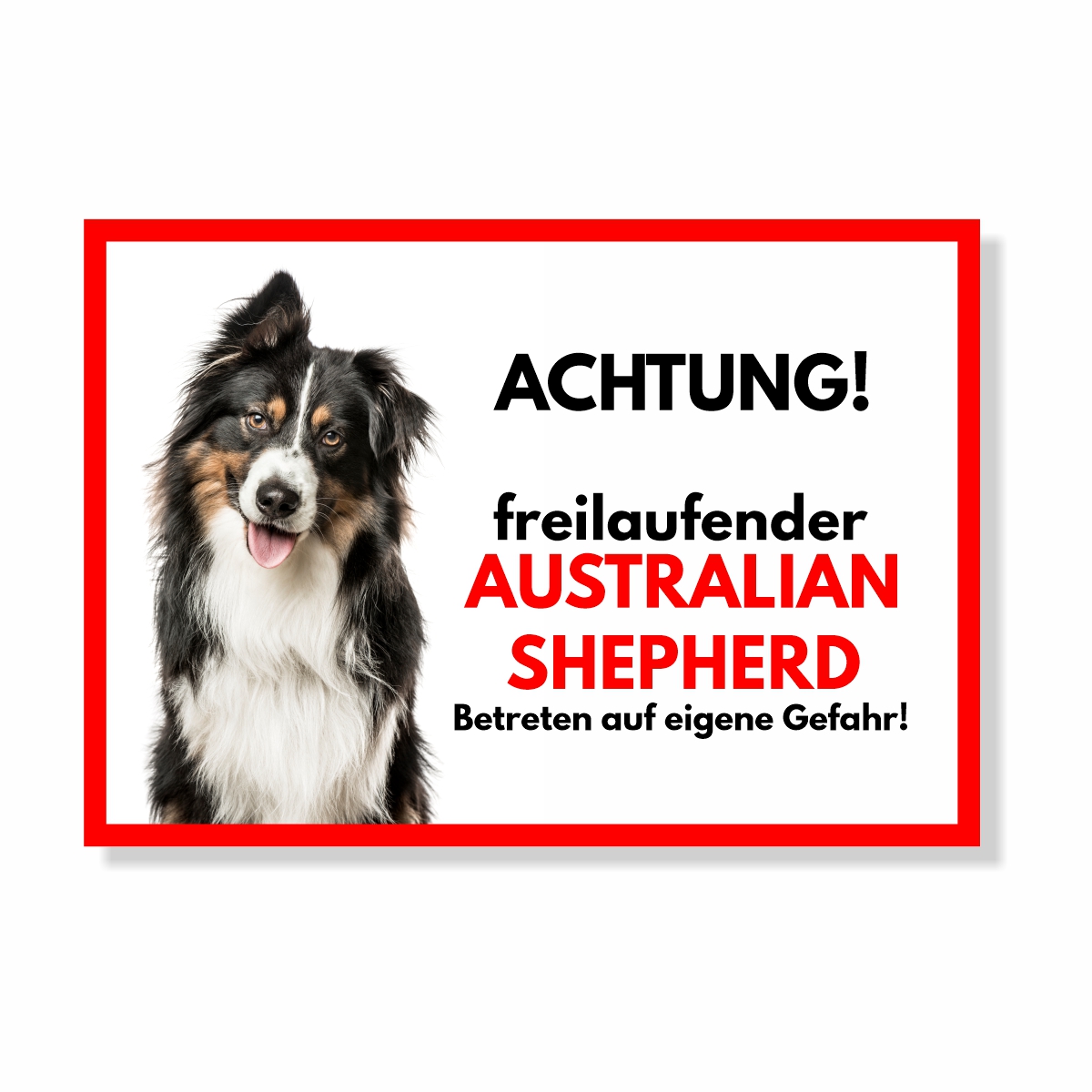 Australian Shepherd Freilaufender Hund Dog Schild Spruch Türschild Hundeschild Warnschild