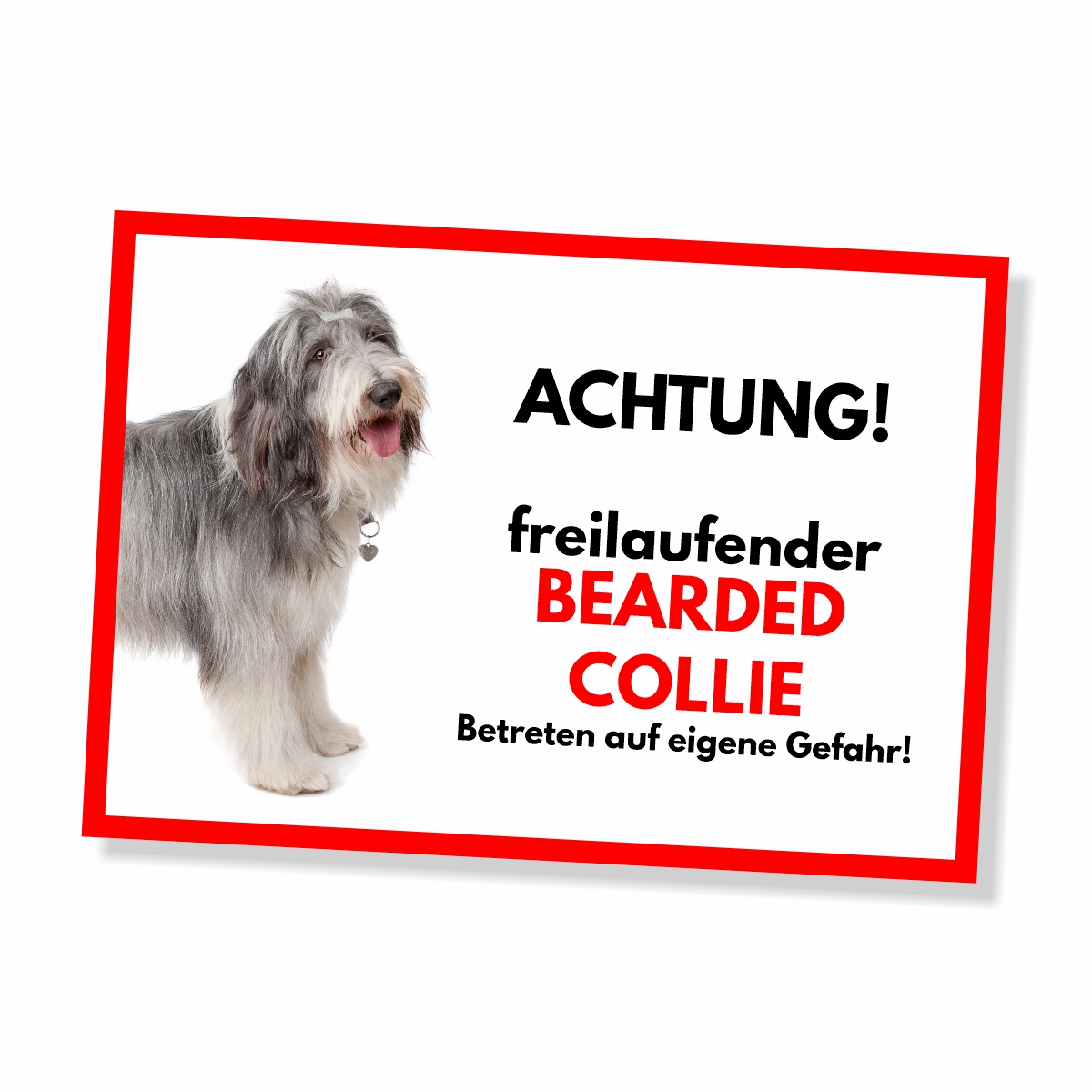 Bearded Collie Freilaufender Hund Dog Schild Spruch Türschild Hundeschild Warnschild