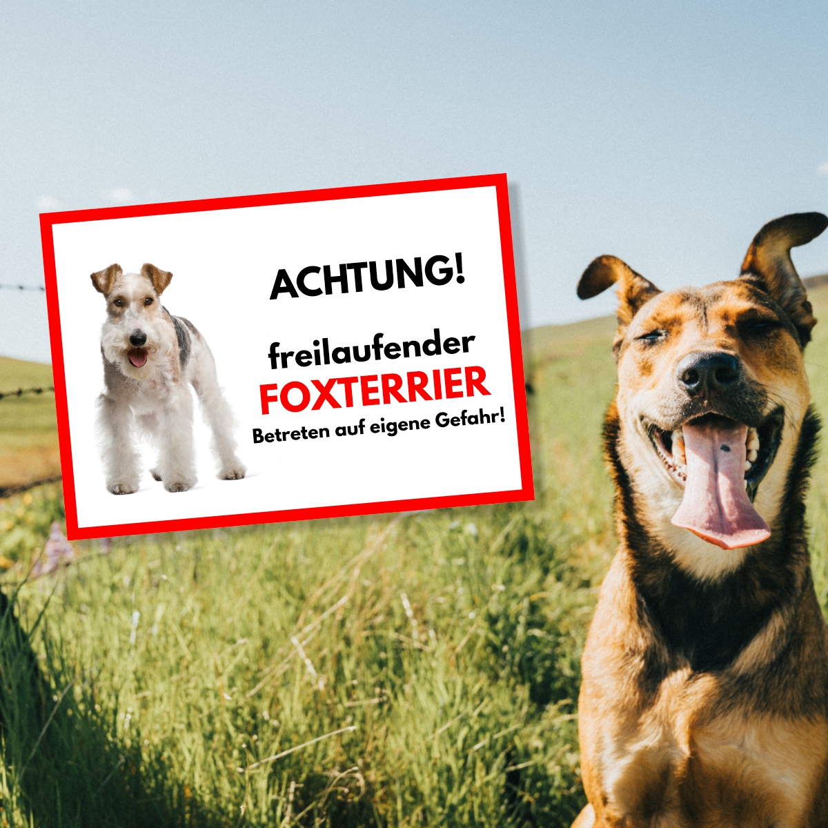 Foxterrier 2 Freilaufender Hund Dog Schild Spruch Türschild Hundeschild Warnschild