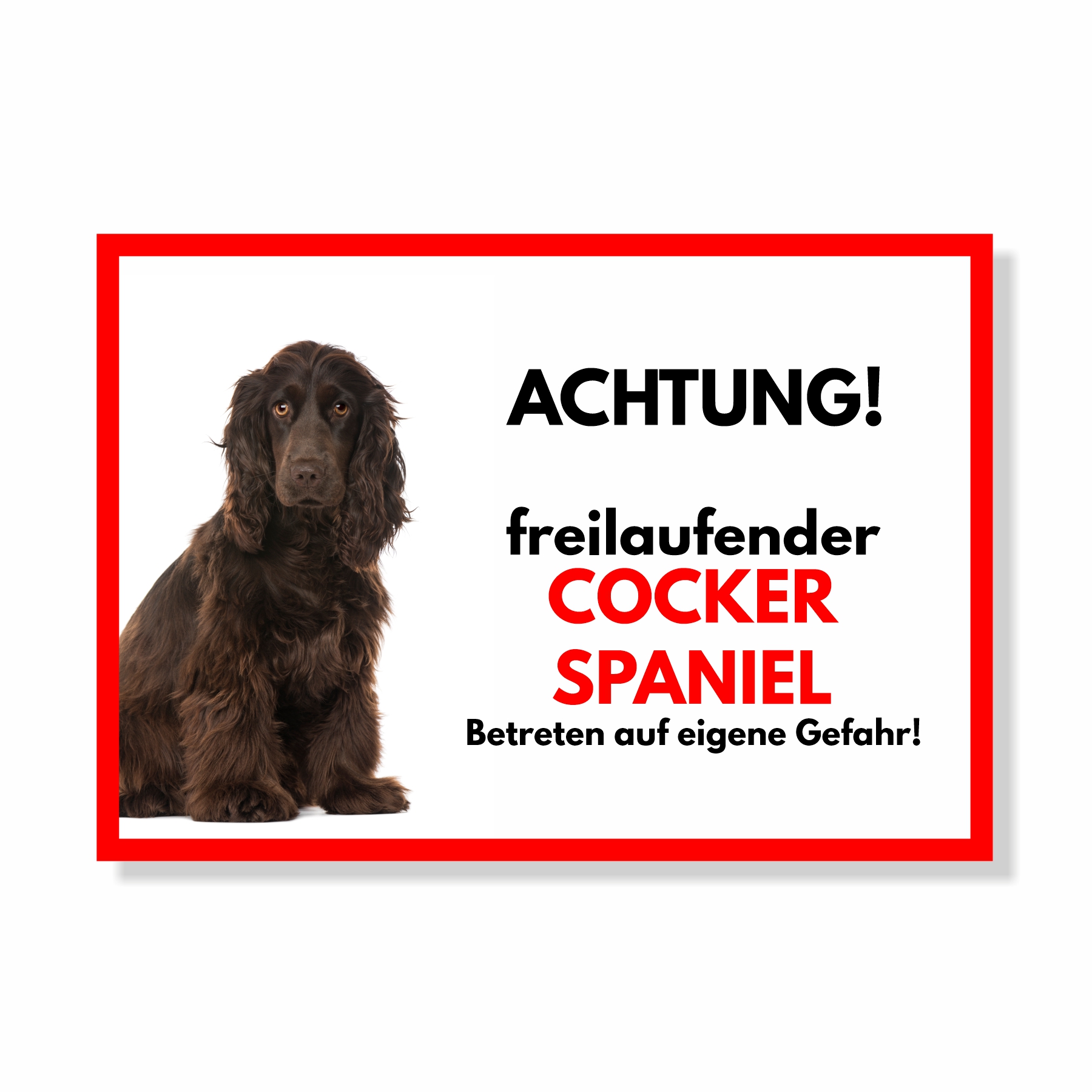Cocker Spaniel 4 Freilaufender Hund Dog Schild Spruch Türschild Hundeschild Warnschild