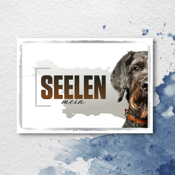 SeeleD_Schnauzer2