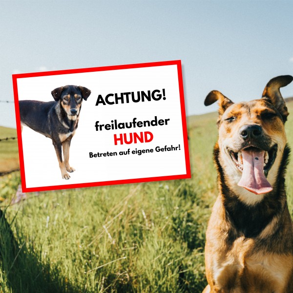 SchildFrei_Hund4_2