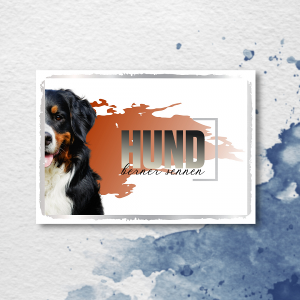 SeeleD_BernerSennen3