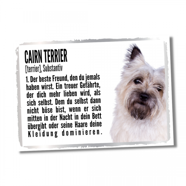 Duden_CairnTerrier1