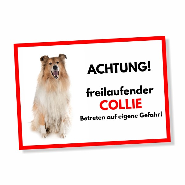 SchildFrei_Collie