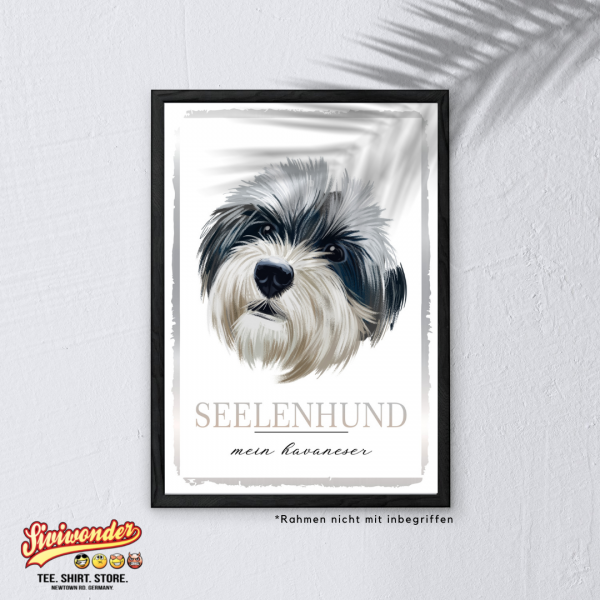 SeeleW_Havaneser3