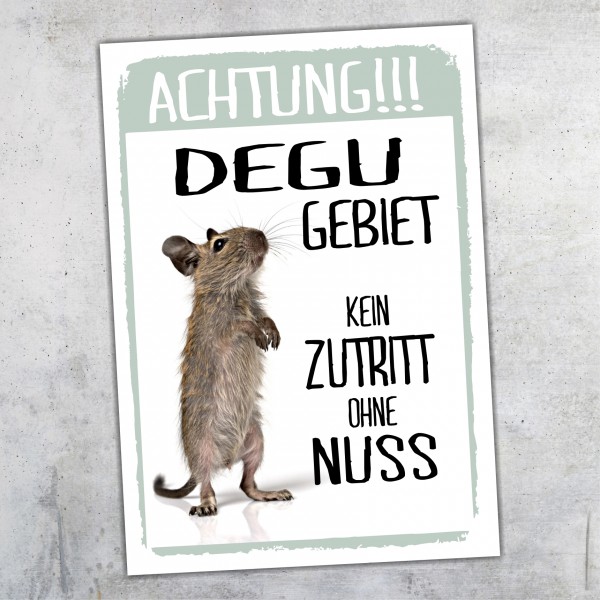 Degu Gebiet Kein Zutritt ohne Möhrchen Türschild Warnschild Spruch Schild happy Design by Siviwonder