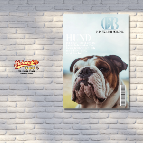 SchildMagazin_OldEnglishBulldog3