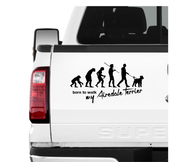 AEVO_AiredaleTerrier1