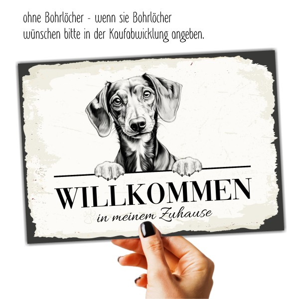 SchildWillk_Dackel6a