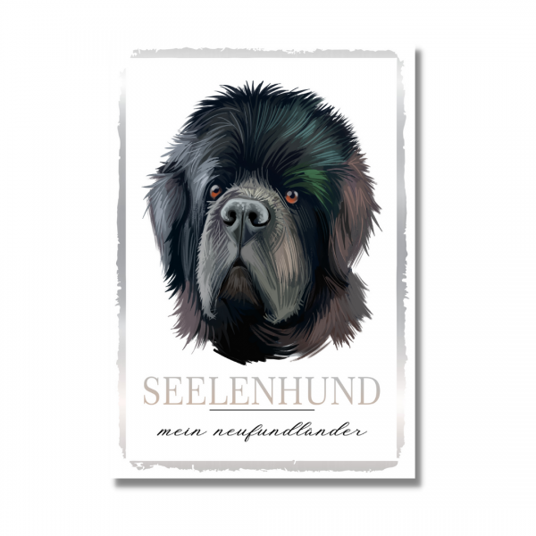 SeeleW_Neufundl-nder1