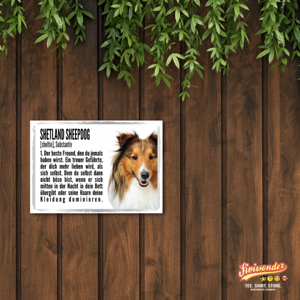 Duden_Sheltie2