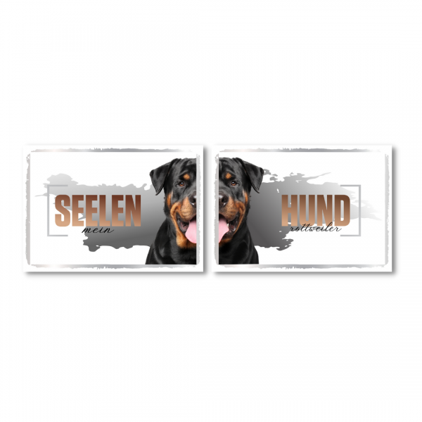 SeeleD_Rottweiler1