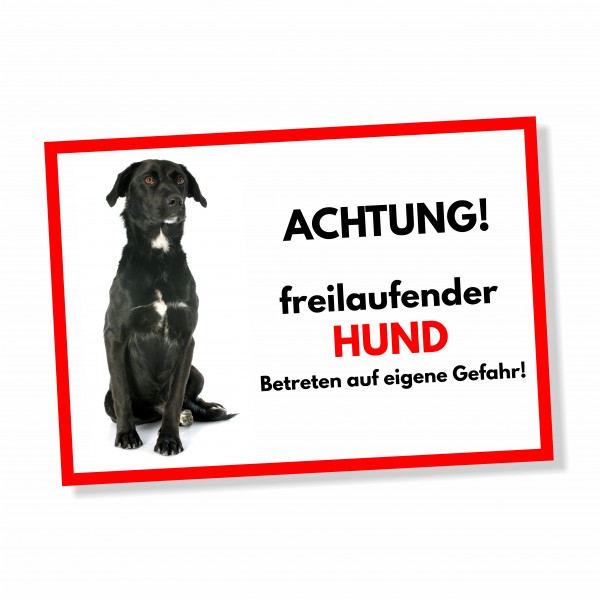 SchildFrei_Hund5_1
