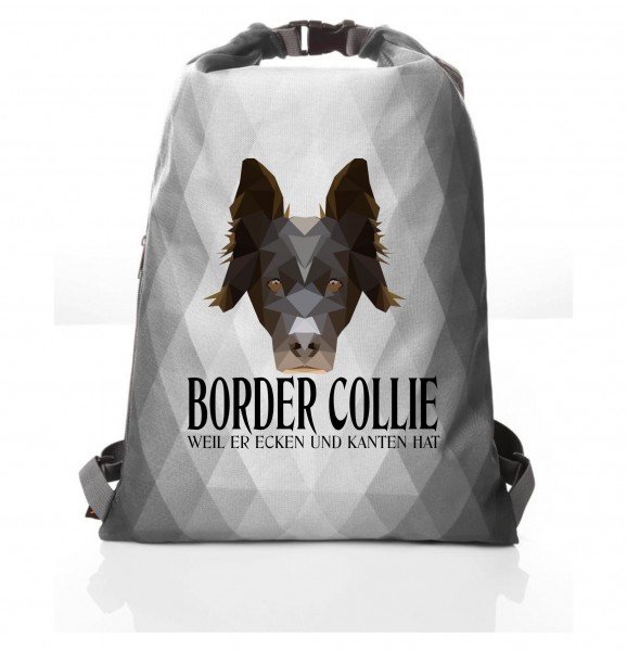 PBAGPoly_BorderCollie