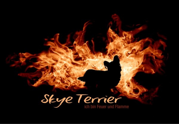 UTFlamme_SkyeTerrierMo