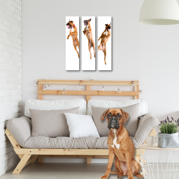 Deutscher Boxer Schild Jump Set Wandschild Bild Deko Hundeschild Fun cool Schilder happy Design by Siviwonder