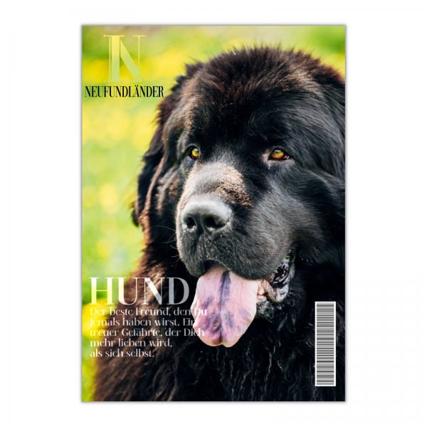 SchildMagazin_Neufundl-nder1