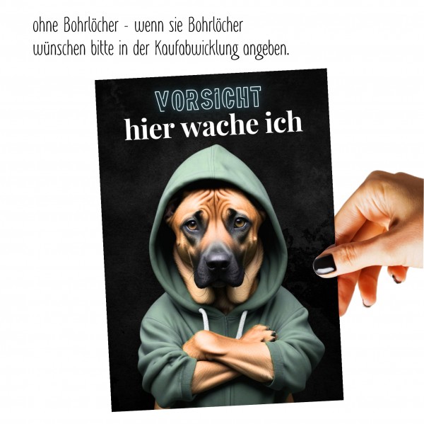 SchildVorsicht_Ridgeb1