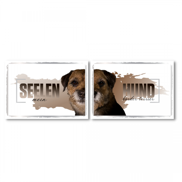 SeeleD_BorderTerrier1