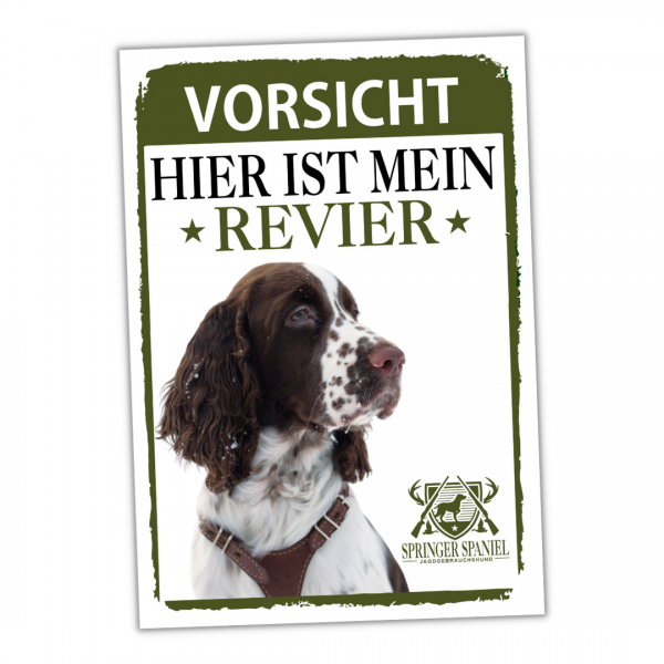 SchildRevier_SpringerSpaniel1