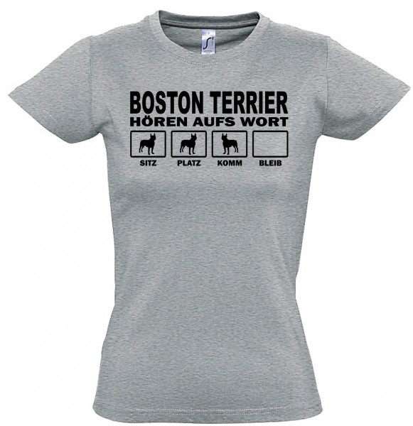 WTHAWBostonTerrierSG