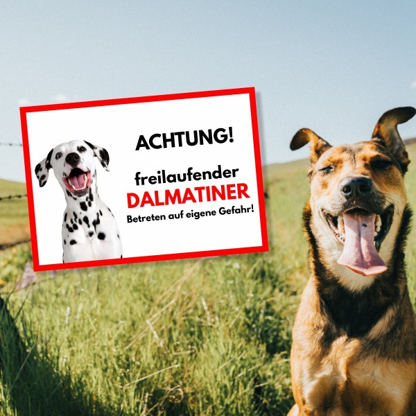 SchildFrei_Dalmatiner1
