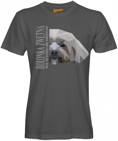 UTPoly_BolonkaZwetnaDG