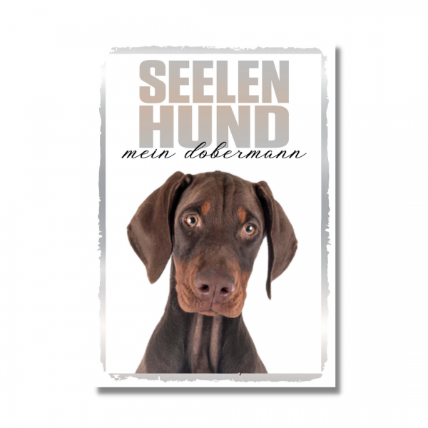 SeeleR_DobiBUnkup16140975936c2d