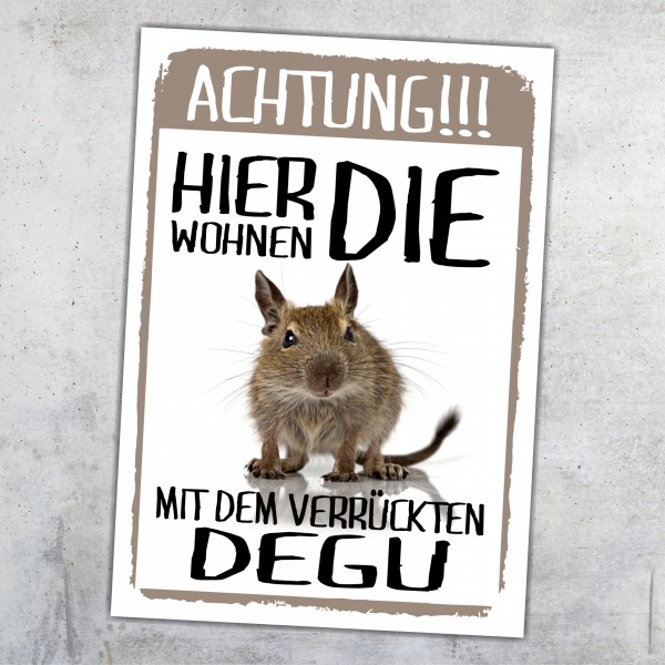 Hier wohnen die ... mit dem Verrückten Degu Türschild Warnschild Spruch Schild happy Design by Siviwonder