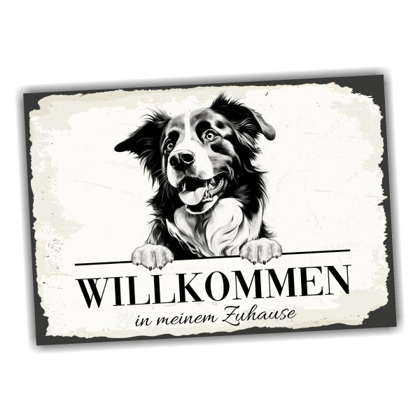 Hundeschild Willkommen Zuhause Border Collie Schild
