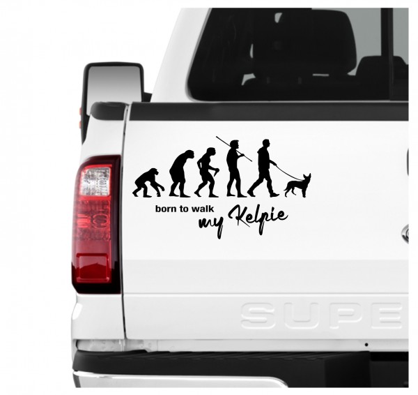 Kelpie Australian Barb Evolution Born to Walk Hunde Aufkleber Sticker Autoaufkleber Wandtattoo Tattoo
