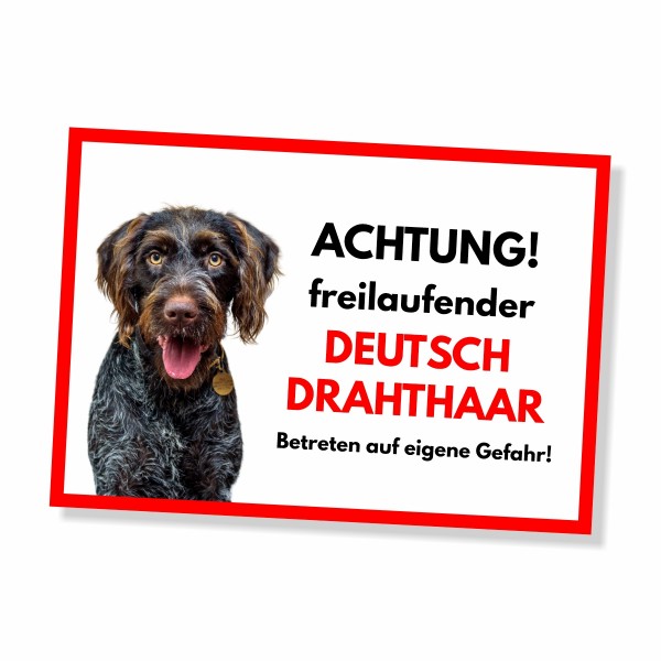 SchildFrei_DeutschDrahthaar