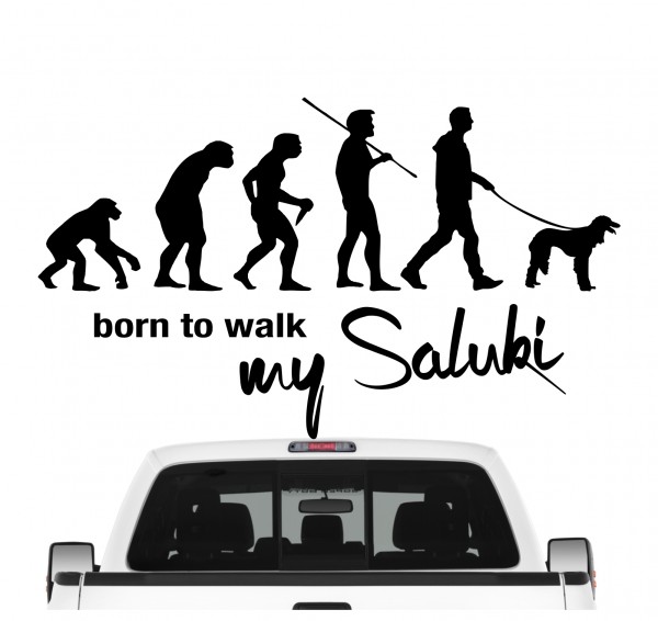 Saluki Tazi Windhund Evolution Born to Walk Hunde Aufkleber Sticker Autoaufkleber Wandtattoo Tattoo